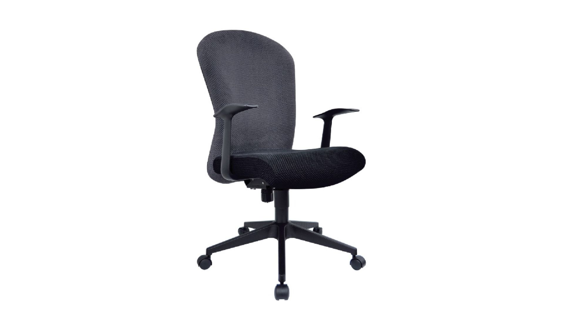 Designer Chair-Low Back